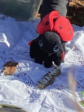 IMG 40401 1